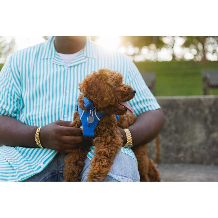 Ruffwear Front Range Dog Harness in Blue Pool (X Small) Ruffwear - Dynamic Drive