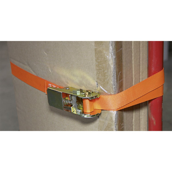 Sealey Self-Securing Ratchet Tie Down 25mm x 4.5m 500kg Breaking Strength Pair Sealey - Dynamic Drive