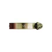 Tool Connection SS Hoseclip 12-22mm x 9mm 10pc 30791 Tool Connection - Dynamic Drive