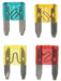 W4 Mini Blade Fuse Mixed 37031 W4 - Dynamic Drive