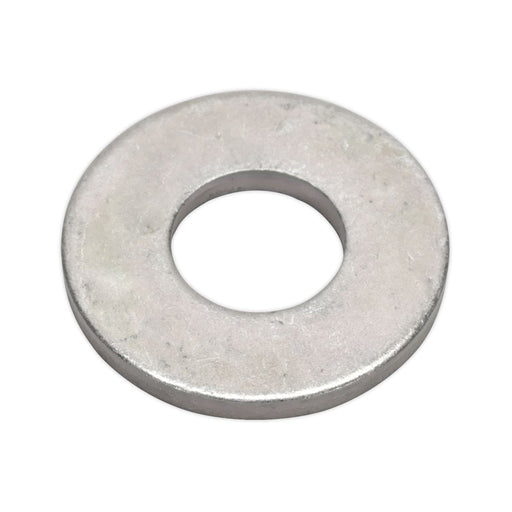 Sealey Flat Washer Assortment 495pc M6-M24 Form C Metric BS 4320 AB056WC Sealey  - Dynamic Drive