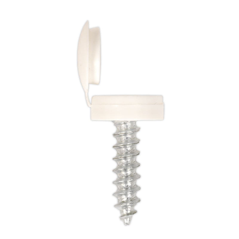 Sealey Clip Strip Deal - Mixed Numberplate Screws NPSSET Sealey - Dynamic Drive
