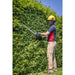 Sealey SV20 Series 52cm Hedge Trimmer 40V - Body Only CP40VHT Sealey - Dynamic Drive