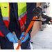 Sealey Handlebar Tie Down Clamp Pair TDC01 Sealey - Dynamic Drive