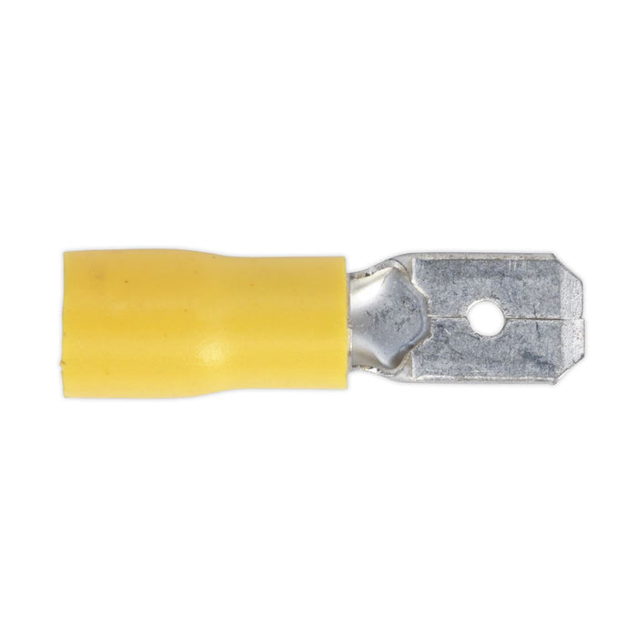 Sealey Clip Strip Deal - Mixed Terminals MTSET Sealey - Dynamic Drive