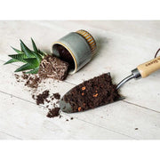 Westland Cacti & Succulent Potting Mix 4 litre Westland - Dynamic Drive
