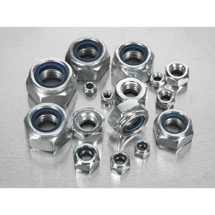 Sealey Nylon Locknut Assortment M4-M16 255pc AB033LN Sealey - Dynamic Drive