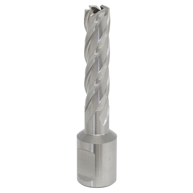 Sealey Rotabor Cutter HSS12mm Cut Depth 50mm RBHSS12L Sealey - Dynamic Drive