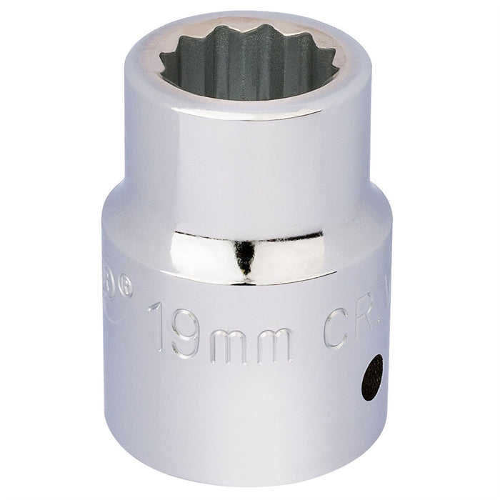 Draper 12 Point Socket, 3/4" Sq. Dr., 19mm 16690 Draper - Dynamic Drive