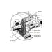 Laser S-Cam Brake Spring Lever - for HGV 8056 Laser - Dynamic Drive