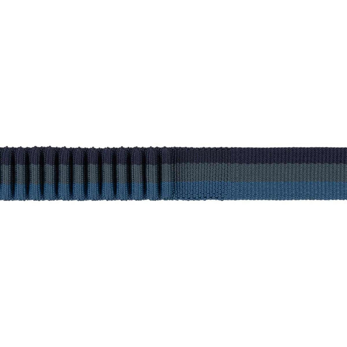 Ruffwear Roamer Bungee Dog Running Lead in Orion Blue (2.2 to 3.4m) Ruffwear - Dynamic Drive