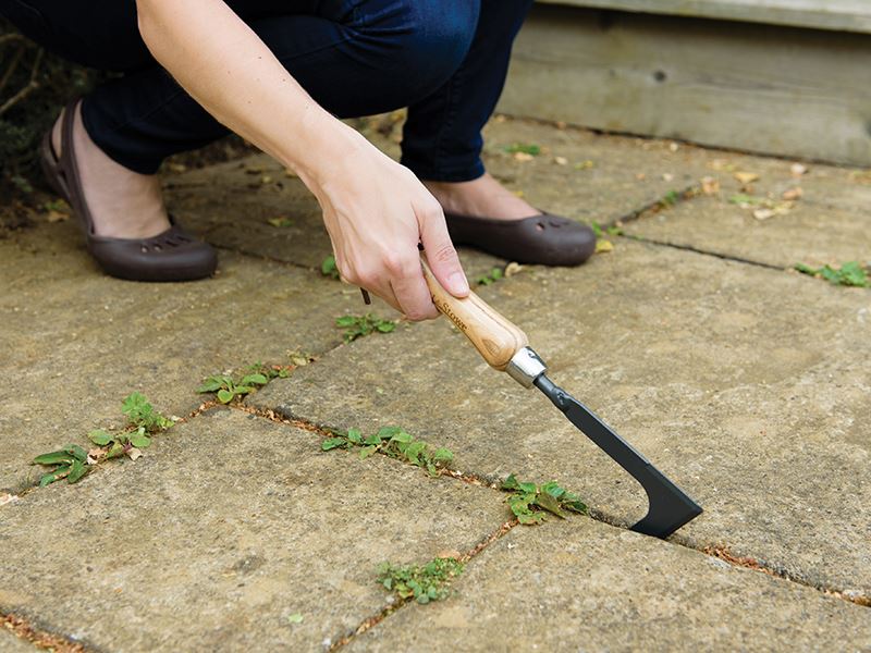 Kent & Stowe Carbon Steel Hand Weeding Knife, FSC® Kent & Stowe - Dynamic Drive