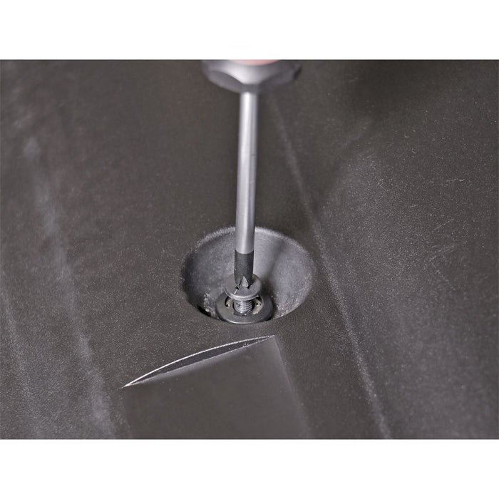 Sealey Screw Rivet15mm x 21mm GM & Honda Pack of 20 TCSR1514 Sealey - Dynamic Drive