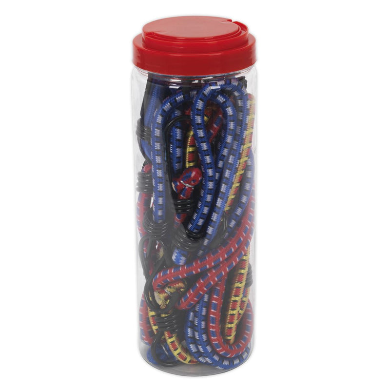 Sealey Elastic Cord Set 10pc BCS10 Sealey - Dynamic Drive