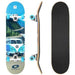 Vw Explorer 31 Inch Skateboard SK0061 VW - Dynamic Drive