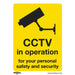 Sealey Warning Safety Sign CCTV Self-Adhesive Vinyl SS40V1 Sealey - Dynamic Drive