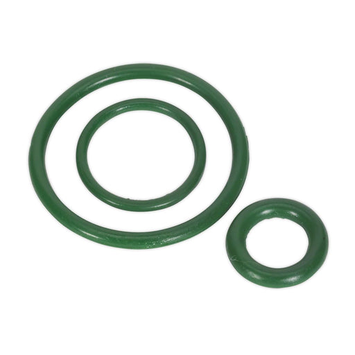 Sealey Vitonï Seal Kit for SCSG02 & SCSG03 SCSGRK Sealey - Dynamic Drive