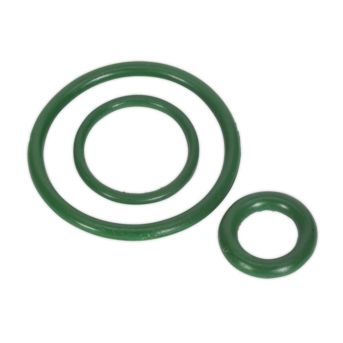 Sealey Vitonï Seal Kit for SCSG02 & SCSG03 SCSGRK Sealey - Dynamic Drive