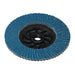 Draper Expert Zirconium Oxide Flap Disc, 115mm, M14, 60 Grit 86066 Draper - Dynamic Drive