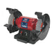 Sealey Bench Grinder 200mm Variable Speed BG200WVS Sealey  - Dynamic Drive