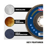 Sealey 115mm Zirconium Flap Discs 40Grit 22mm Bore - Pack of 10 FD1154010 Sealey - Dynamic Drive